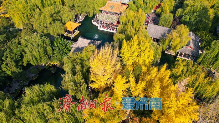 趵突泉秋景如画 泉涌叶舞醉游人