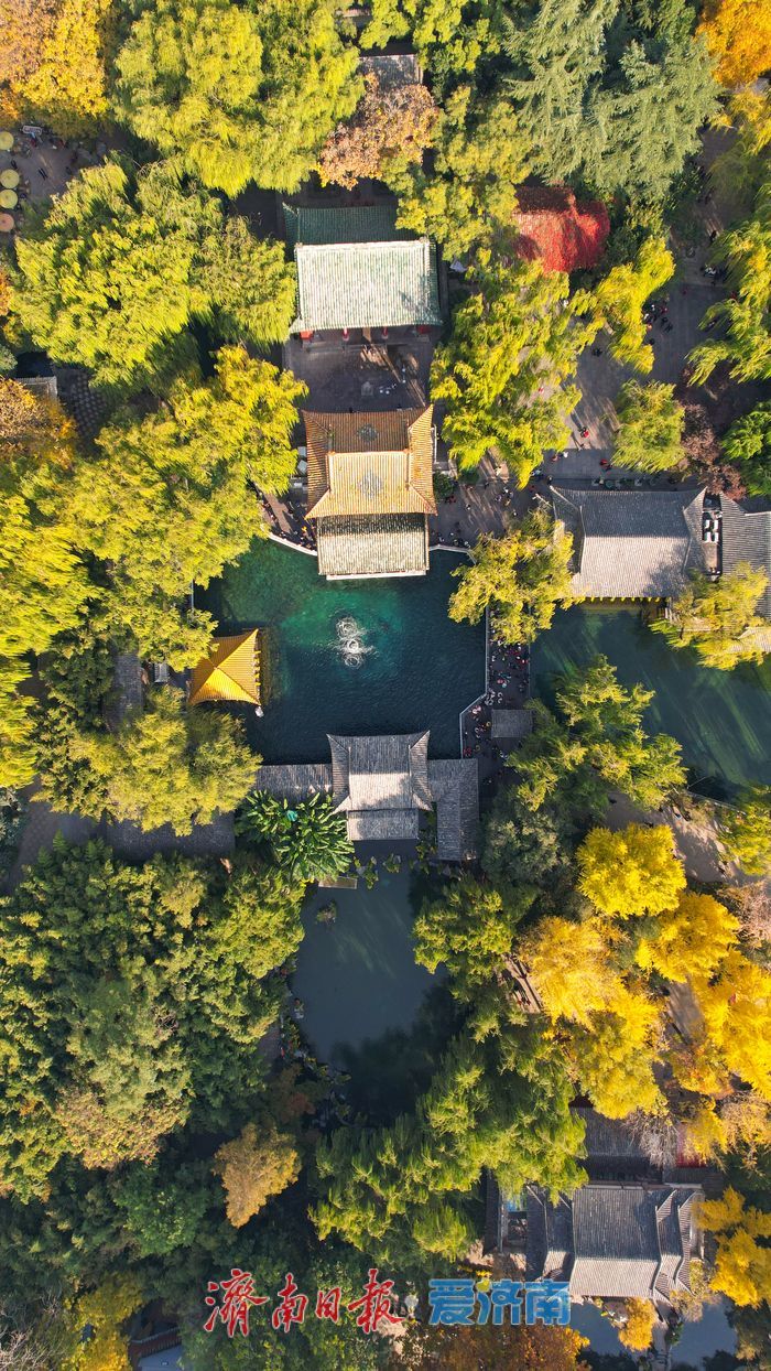 趵突泉秋景如画 泉涌叶舞醉游人