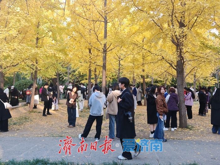 一年四季 泉在济南丨济南森林公园变身“秋日调色盘” 周末游人如织享惬意