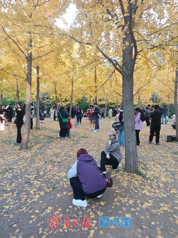 一年四季 泉在济南丨济南森林公园变身“秋日调色盘” 周末游人如织享惬意