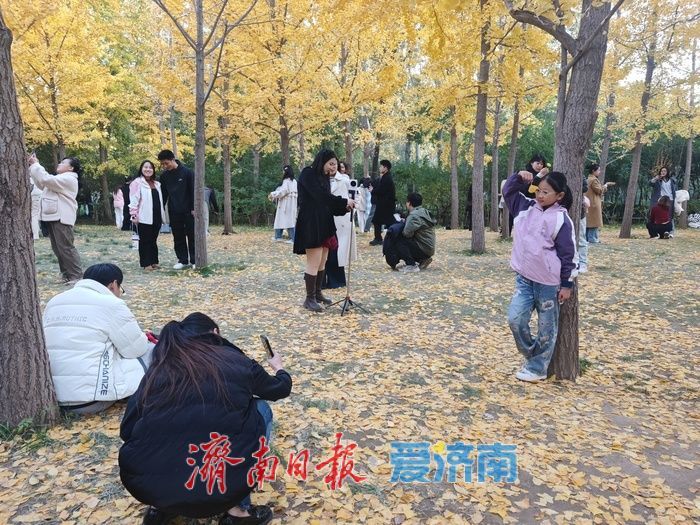 一年四季 泉在济南丨济南森林公园变身“秋日调色盘” 周末游人如织享惬意