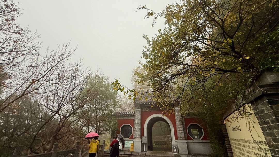 济南佛慧山：初冬木叶黄 山高雾沾衣