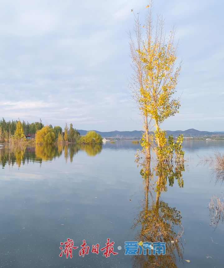 初冬大冶水库景美如画 水墨画卷入眼来