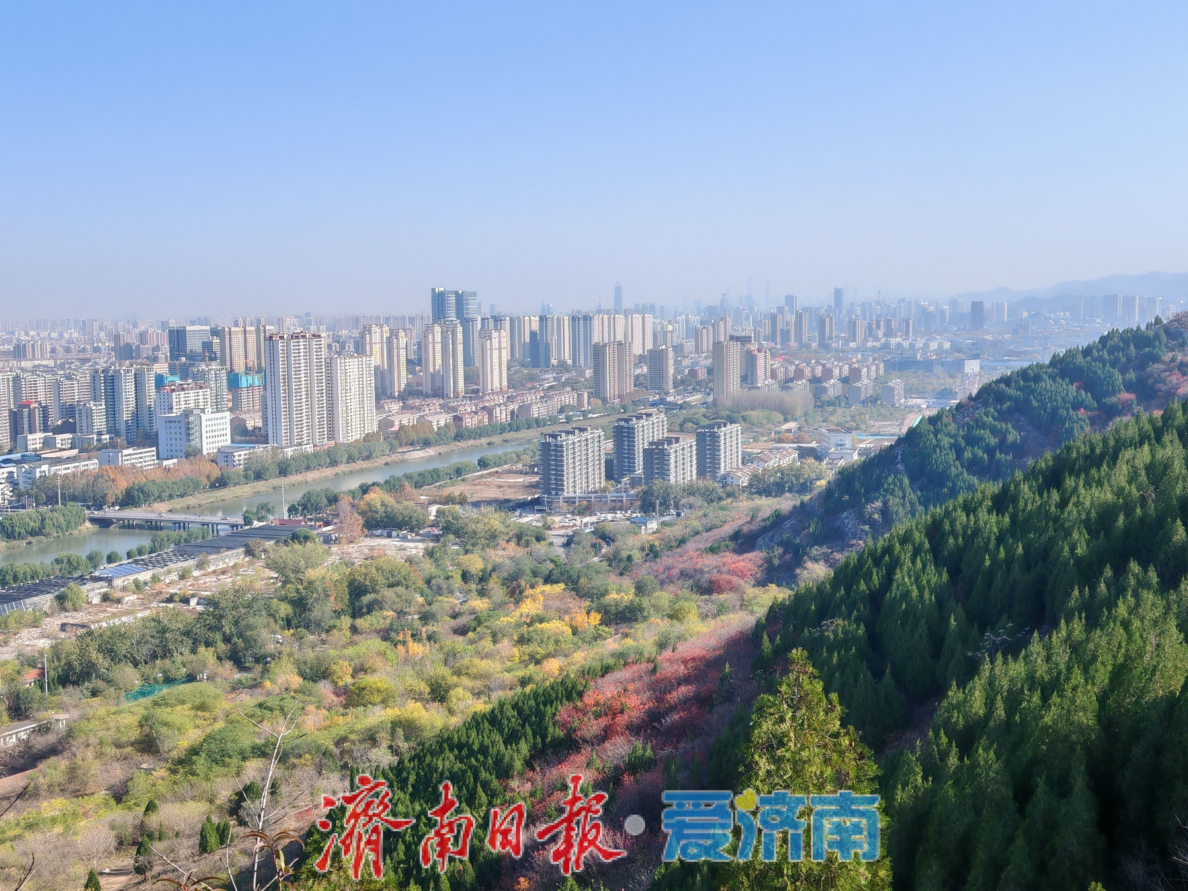 一年四季 泉在济南丨腊山冬日正当“红”