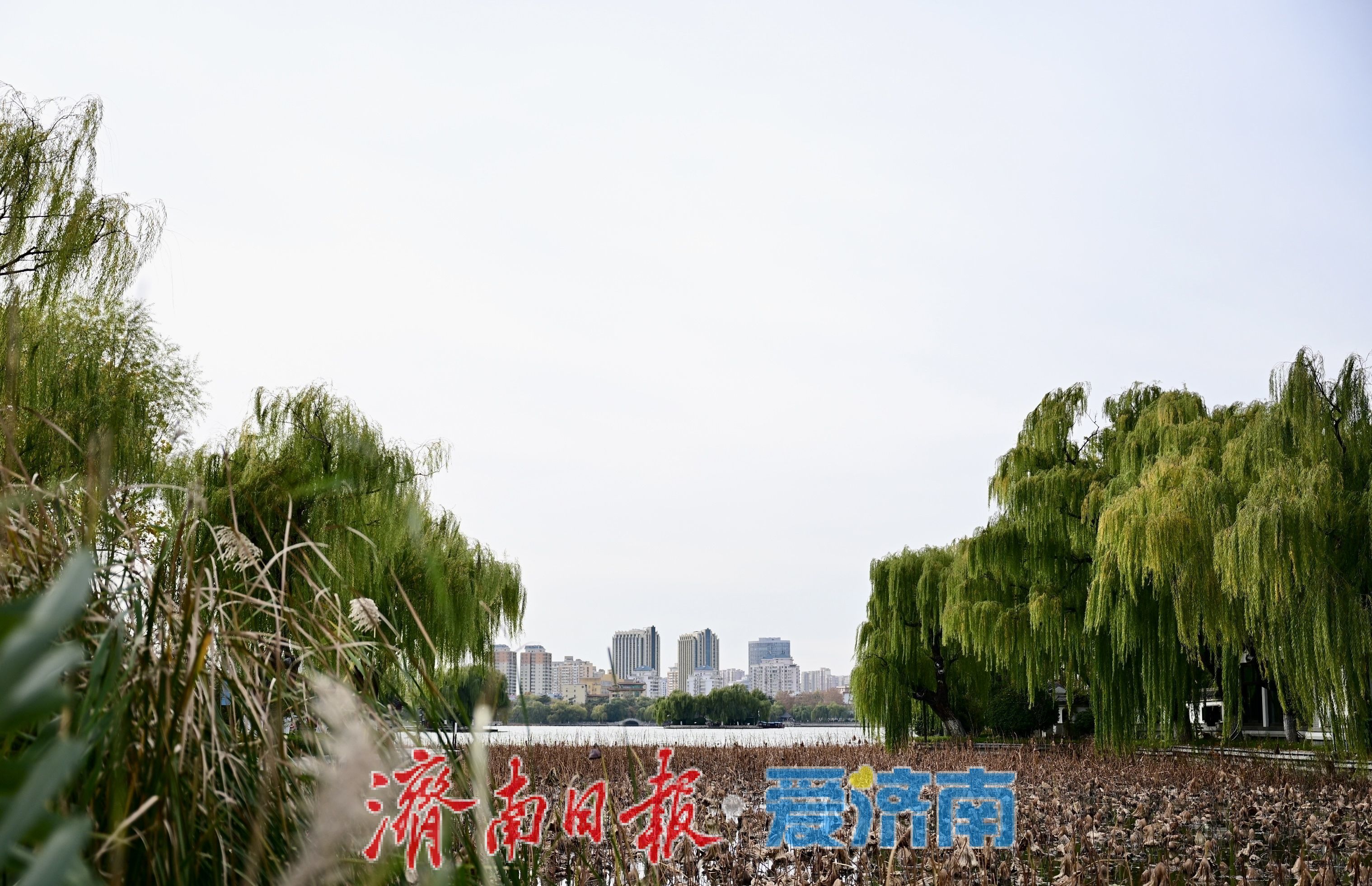 寒潮难挡游兴 大明湖初冬别具风情