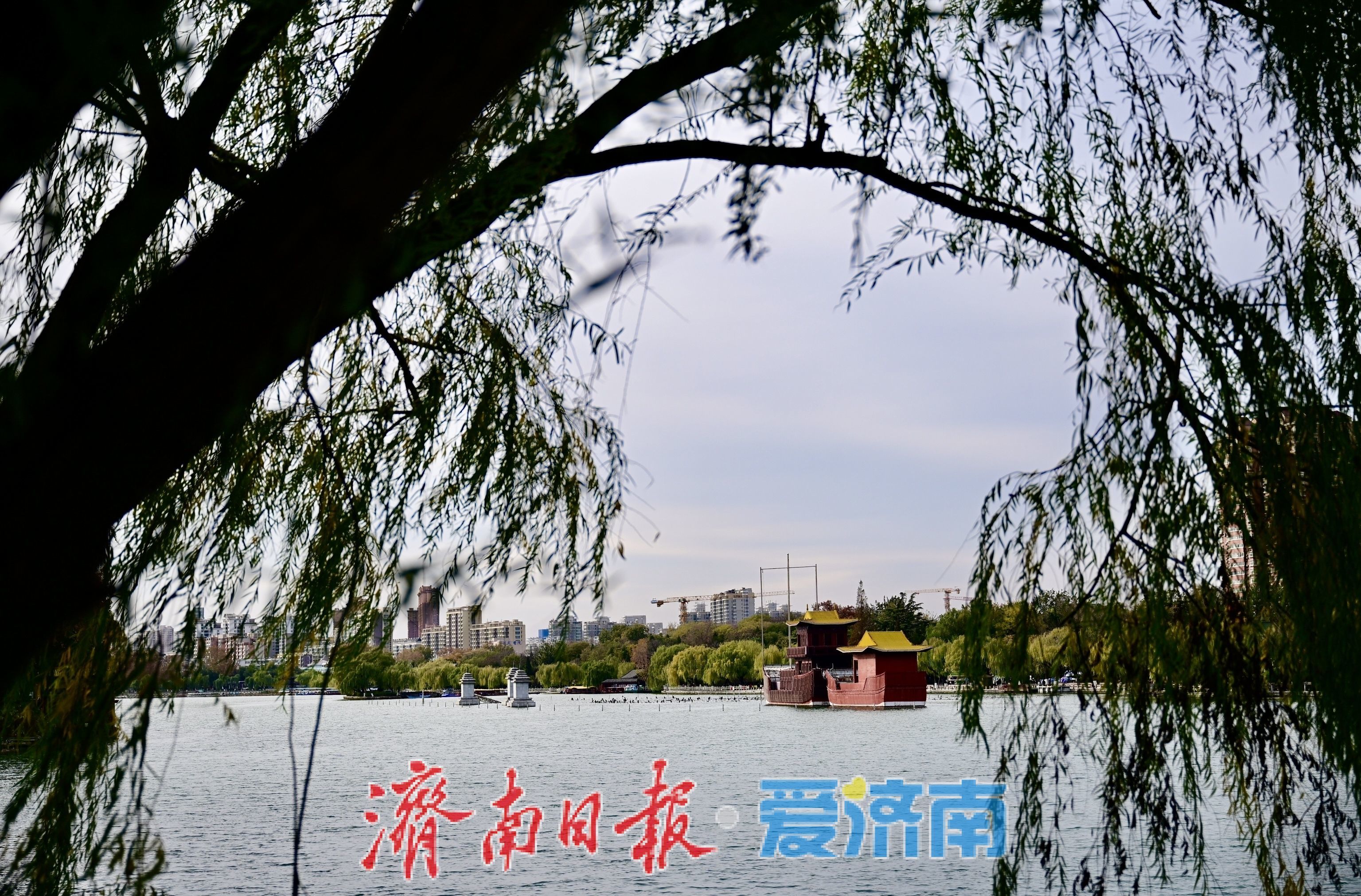 寒潮难挡游兴 大明湖初冬别具风情