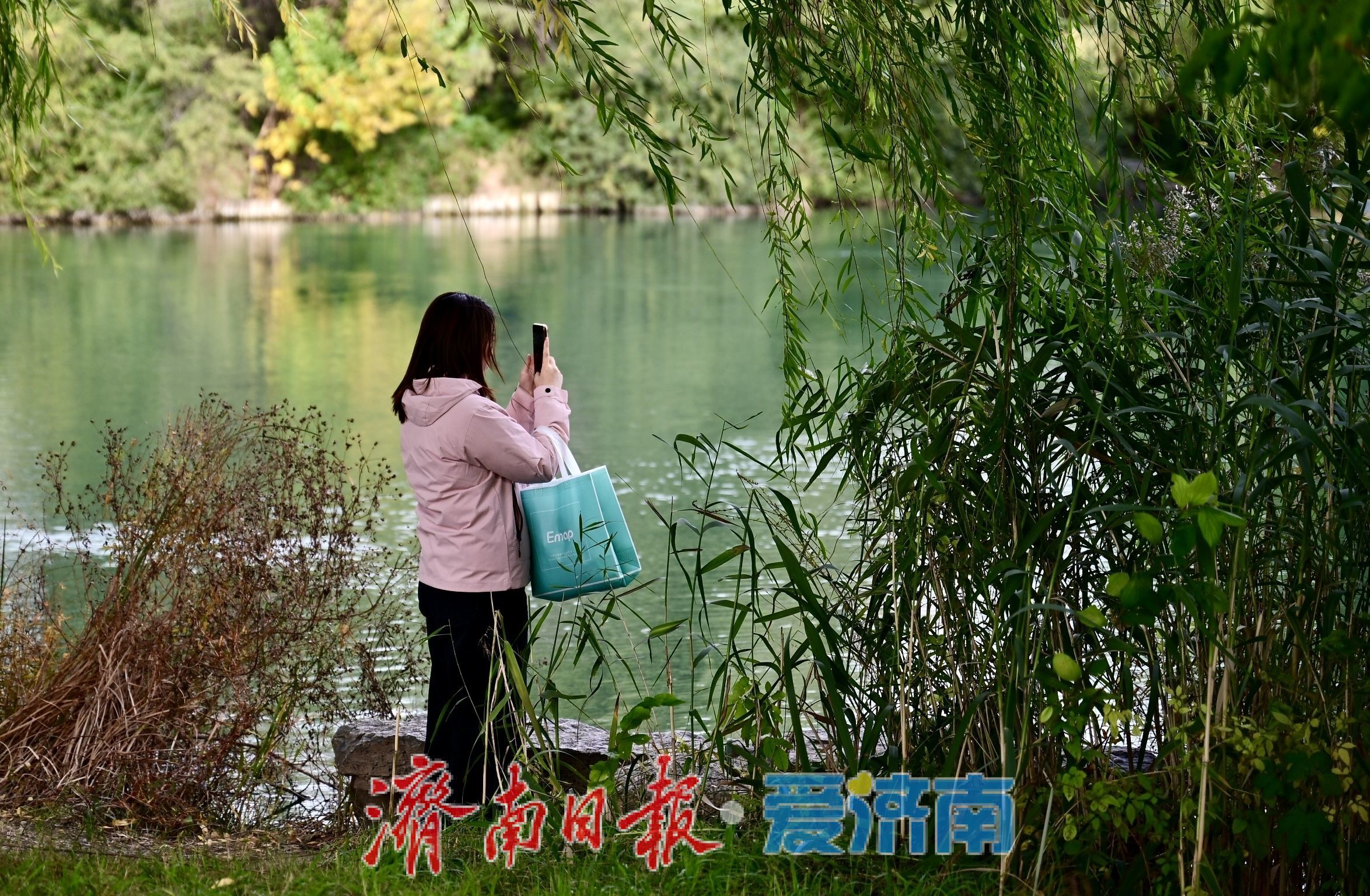 寒潮难挡游兴 大明湖初冬别具风情