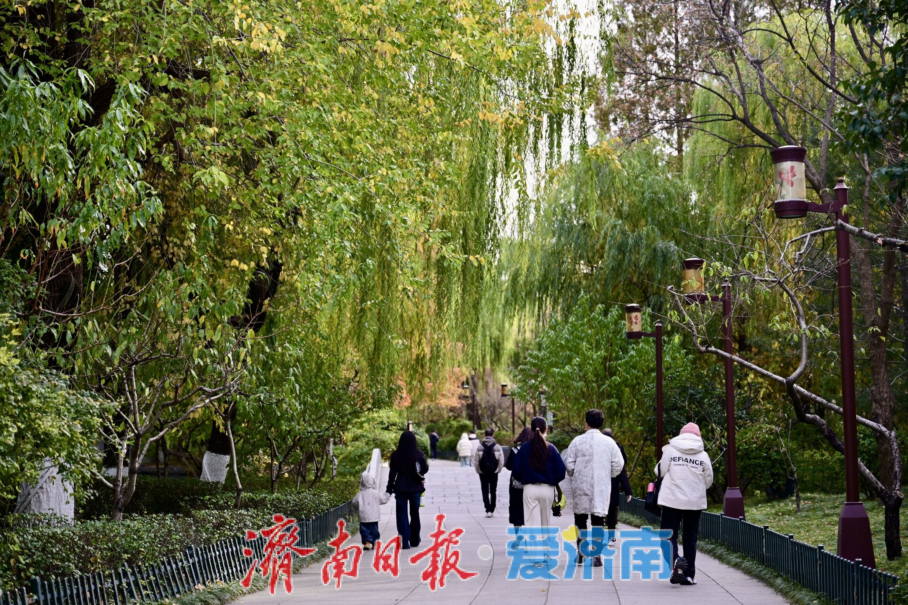 寒潮难挡游兴 大明湖初冬别具风情