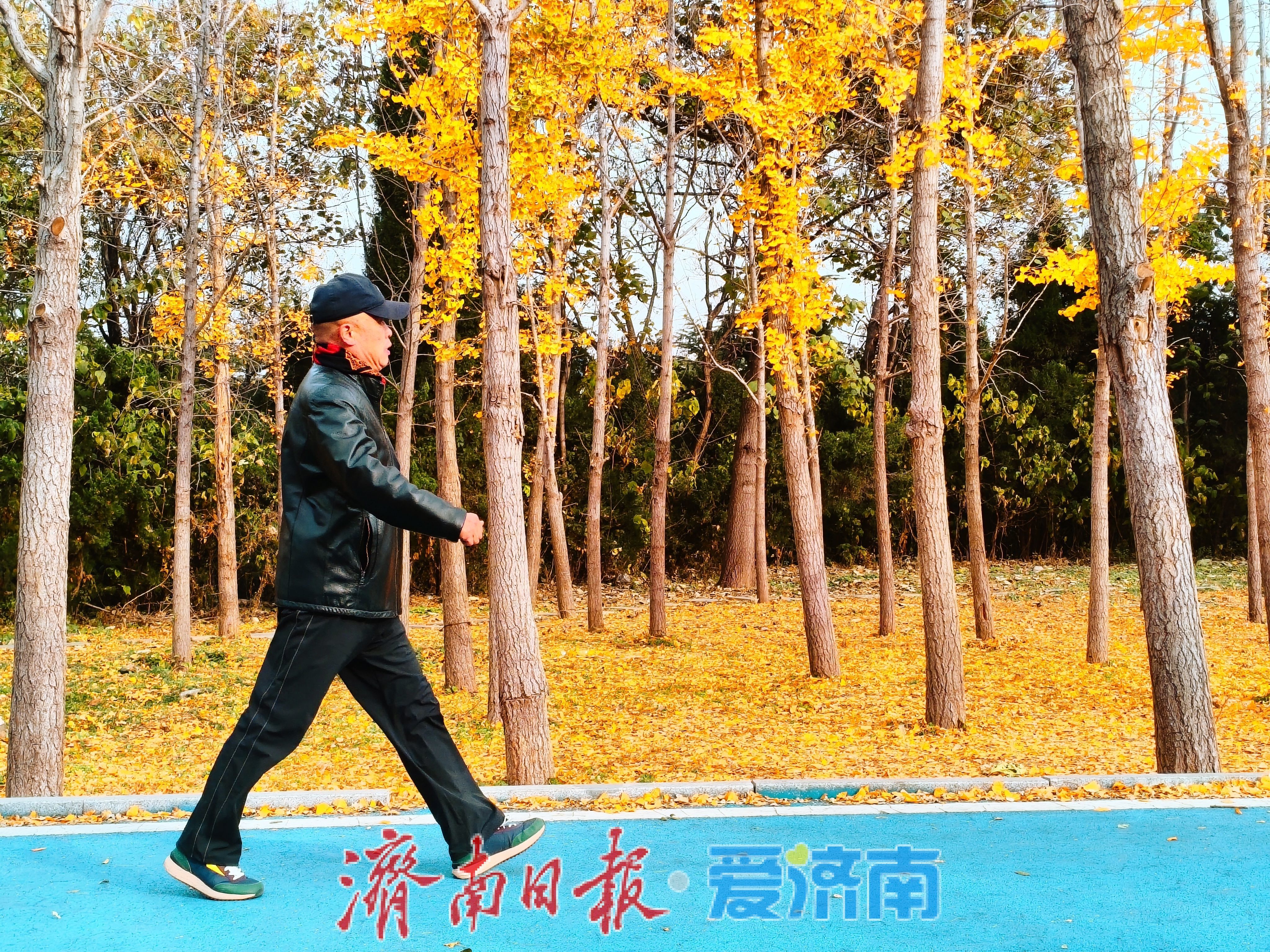 一年四季 泉在济南｜鲍山公园初冬限定美景 层林尽染如铺展天然画卷