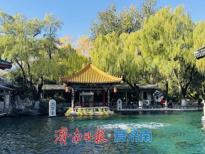 泉映蓝天柳拂岸 初冬趵突泉藏清趣