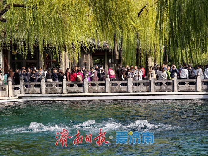 趵突泉披上“初冬调色盘”，三股水映衬冬日里的斑斓画卷