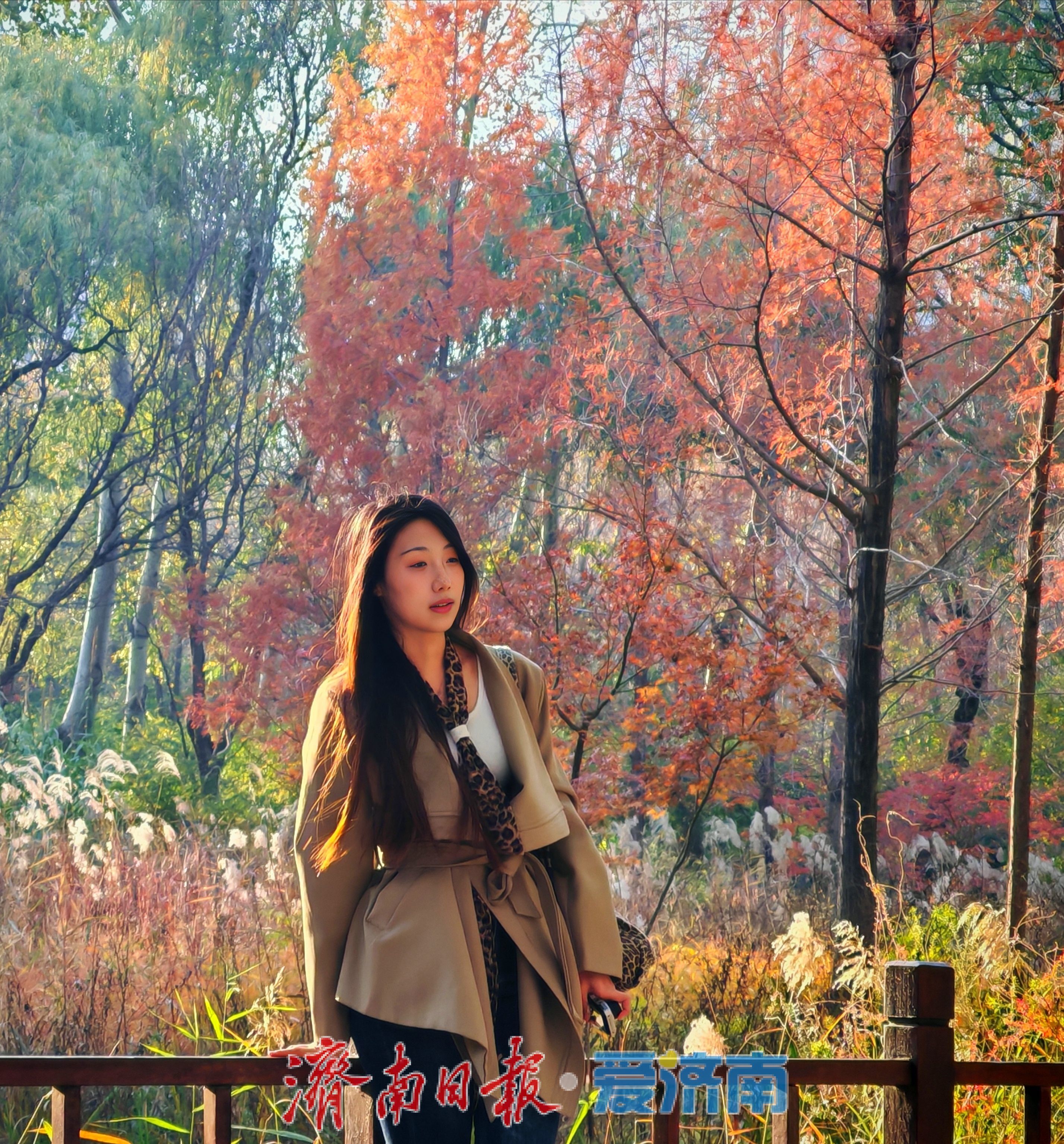 济南森林公园水杉林“红”了，这份惊艳藏不住了！