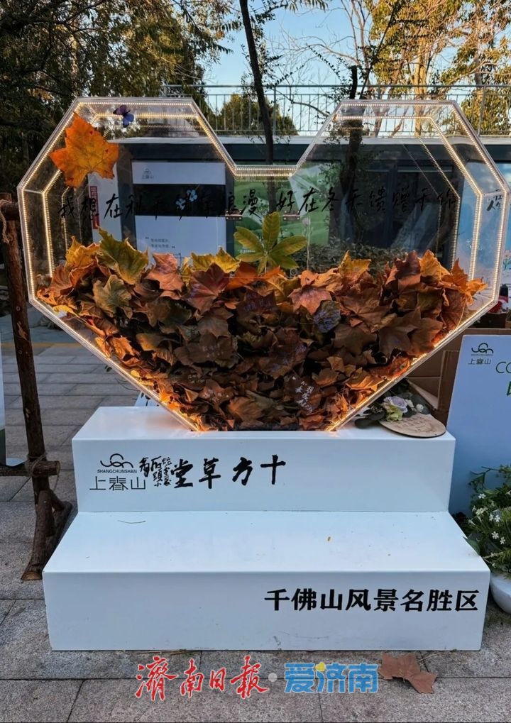 邂逅落叶的浪漫！公园景区解锁秋冬限定景色