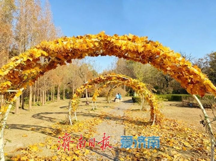 邂逅落叶的浪漫！公园景区解锁秋冬限定景色