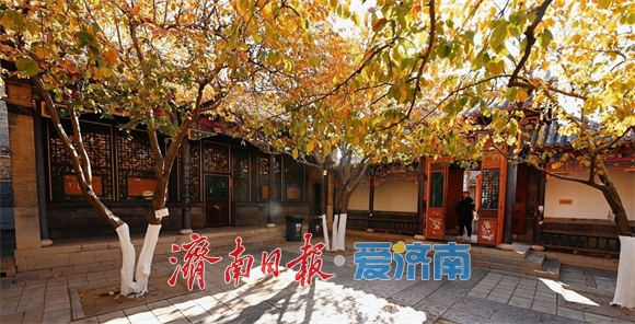 一年四季 泉在济南丨万竹园木瓜院美出圈，趵突泉公园深处藏着一处“黄金庭院”