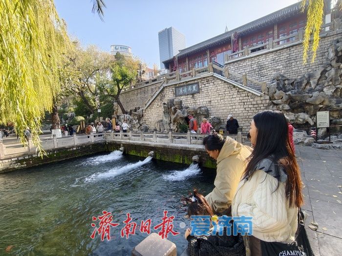 济南把最美的初冬,打包进了护城河!