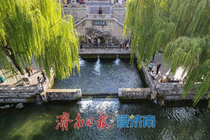 济南把最美的初冬,打包进了护城河!