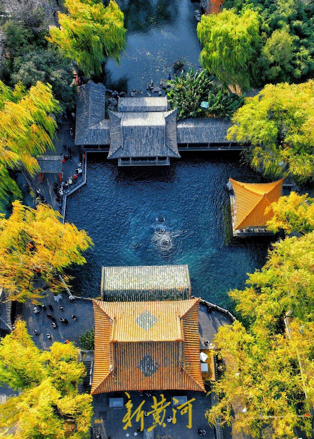 泉城气温跌破0℃ “趵突腾空”胜景依旧