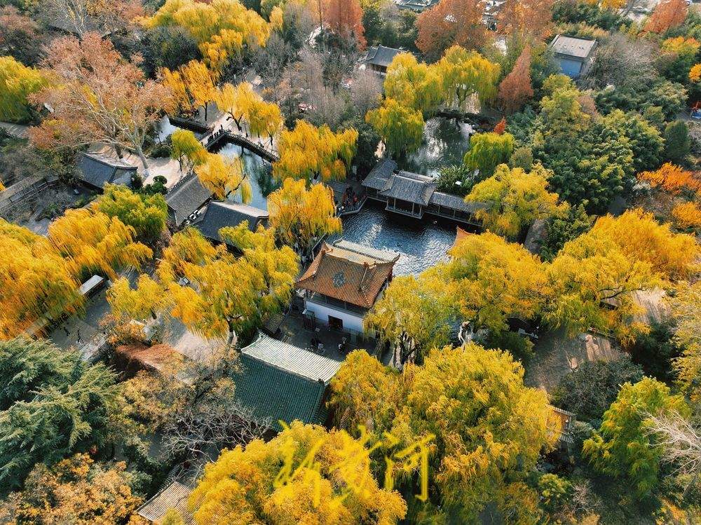 泉城气温跌破0℃ “趵突腾空”胜景依旧