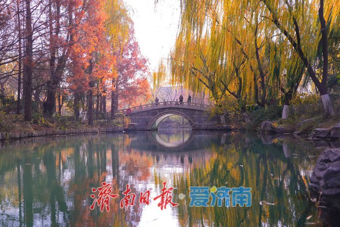 大明湖四象限机位 褚红杉林美到出圈