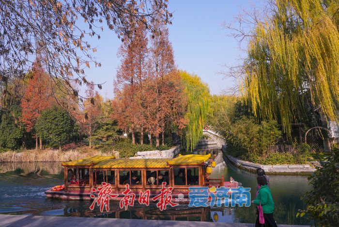 大明湖四象限机位 褚红杉林美到出圈