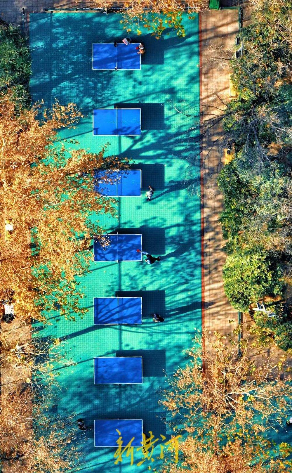 一年四季 泉在济南丨色彩斑斓 济南这个健身广场融进森林氧吧