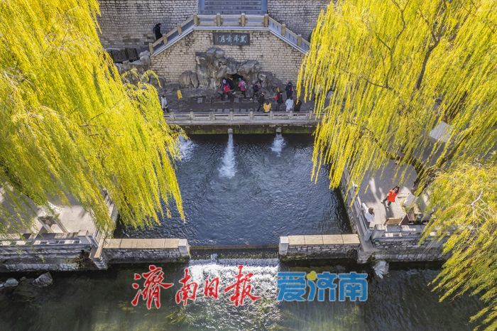 一年四季 泉在济南丨护城河畔诗意浓