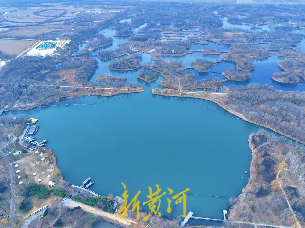 济西国家湿地公园芦苇丛生，冬日景色正浓