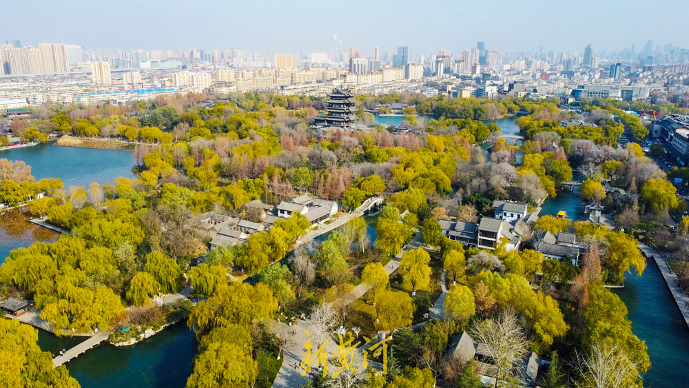 一年四季 泉在济南丨泉畔开启冬日黄金季 百棵垂柳镶金边