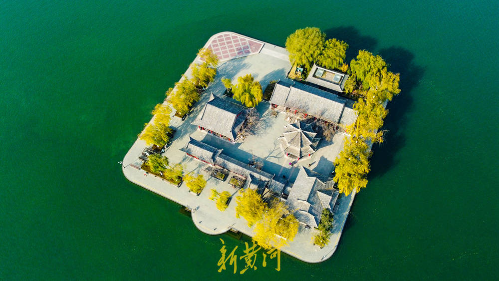 一年四季 泉在济南丨泉畔开启冬日黄金季 百棵垂柳镶金边