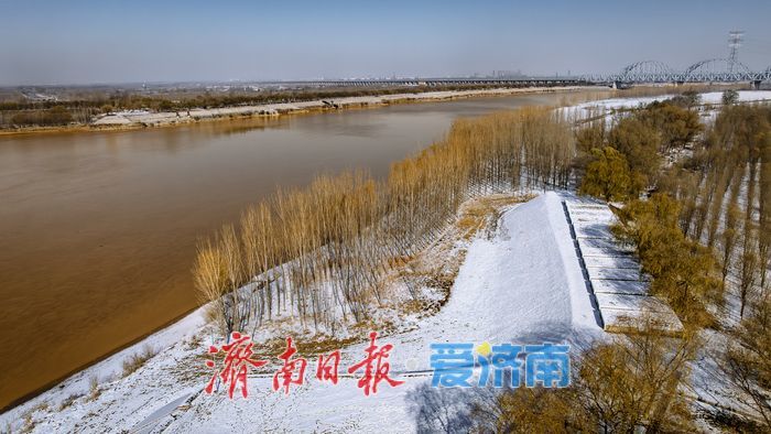 雪润黄河岸，济南冬日生态画卷徐徐铺展