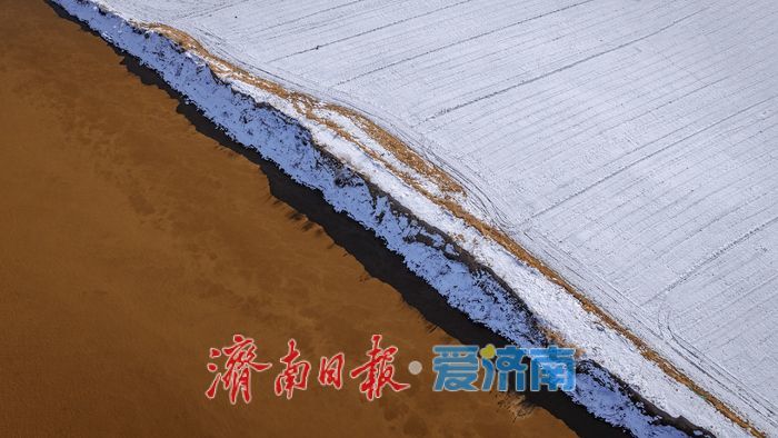 雪润黄河岸，济南冬日生态画卷徐徐铺展