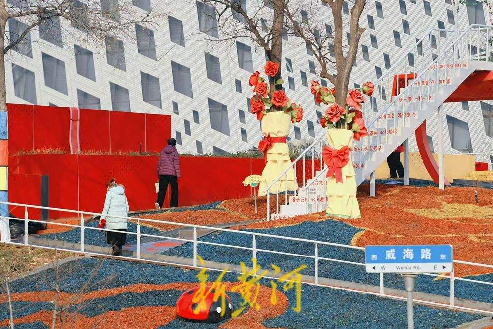 济南“七色花田”隆冬时节缤纷绽放