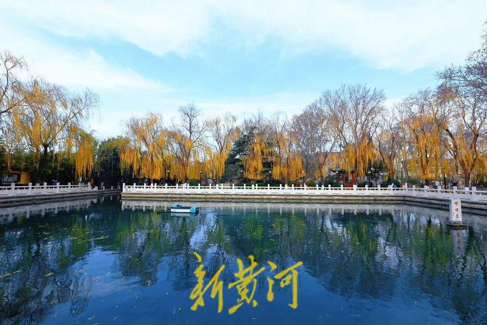 一年四季 泉在济南｜杨柳轻垂、锦鲤欢游 冬日珍珠泉美如画卷