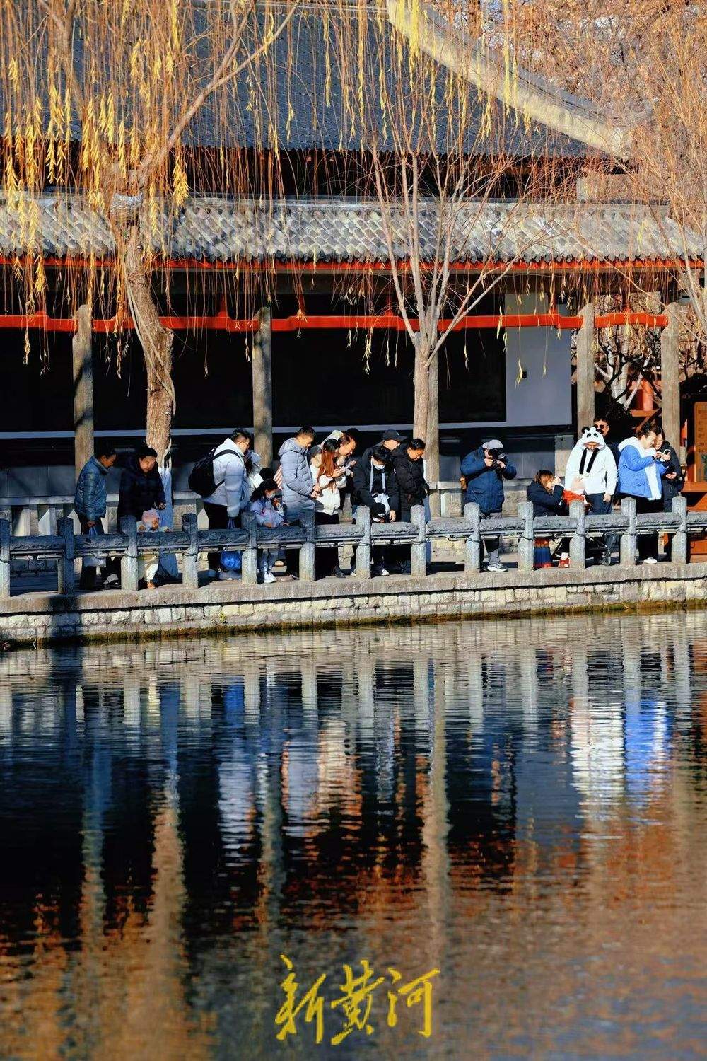 冬至：济南泉水醉游人