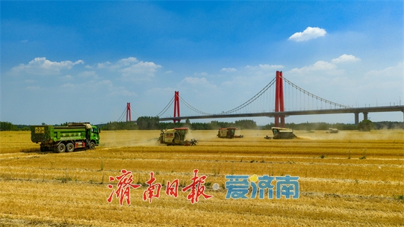 济南：乡兴潮涌 泉城沃野万象新