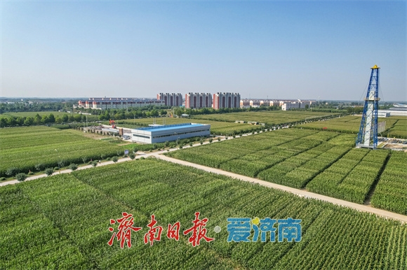 济南：乡兴潮涌 泉城沃野万象新