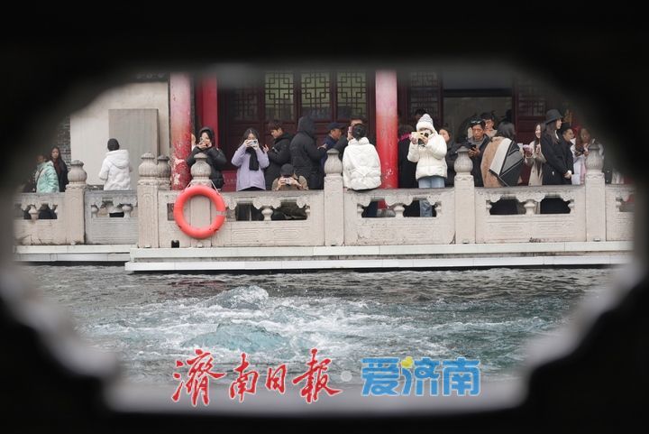 一年四季 泉在济南丨雨润泉城 趵突泉景色如画引客来