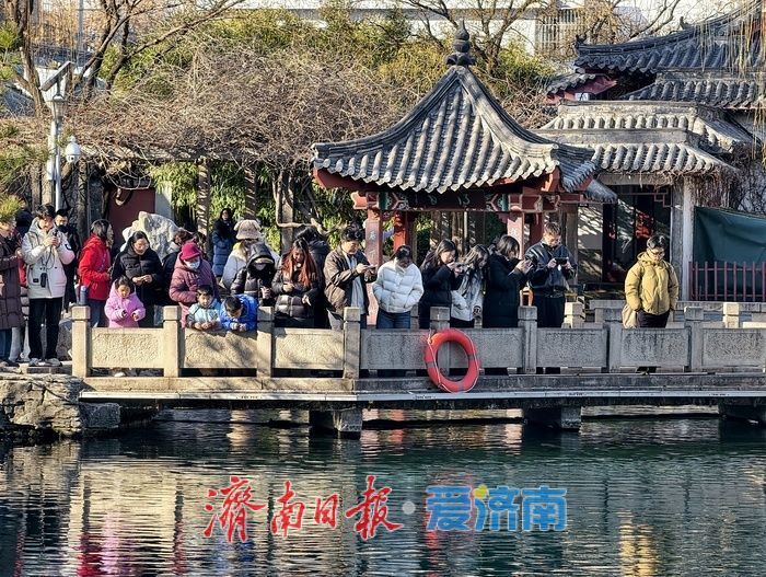 一年四季 泉在济南丨慢享泉韵，深游济南，元旦文旅市场热力足