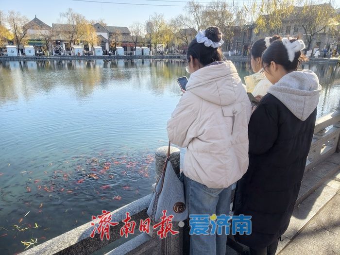 一年四季 泉在济南丨慢享泉韵，深游济南，元旦文旅市场热力足