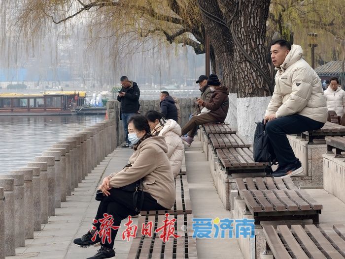 一年四季 泉在济南丨白骨顶鸡“组团”栖息越冬,见证泉城生态之美