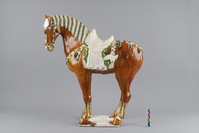 54件唐三彩修复完成，出土于济南樊家遗址唐代朱满墓，创山东文物修复史上一次性修复三彩器数量之最