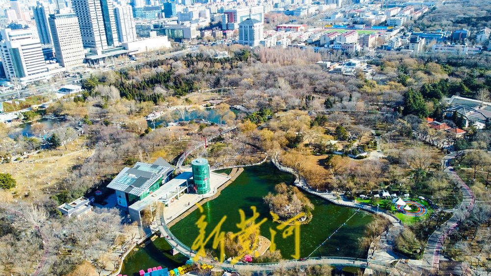 三九寒潮来袭，济南映日湖湖面封冻如翡翠