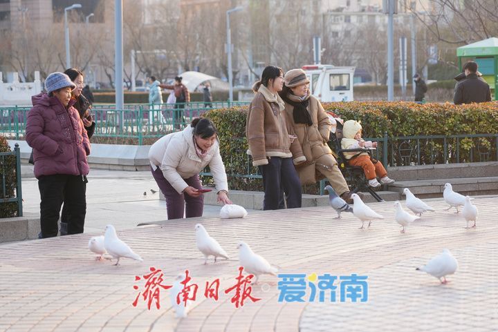 寒潮退去 泉城济南迎晴暖 最高温达11℃