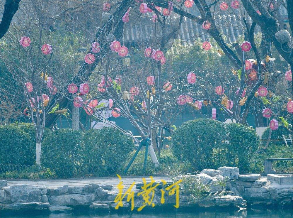 五龙潭迎春花灯启动安装 将化身梦幻光影乐园点亮泉城