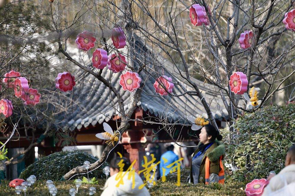 五龙潭迎春花灯启动安装 将化身梦幻光影乐园点亮泉城