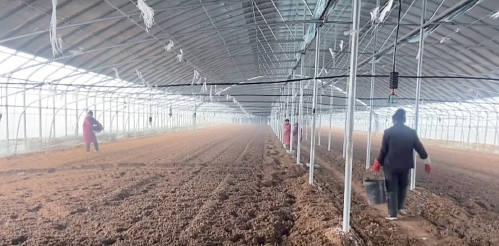 济南“冬闲”人不闲，寒冬沃野产业兴