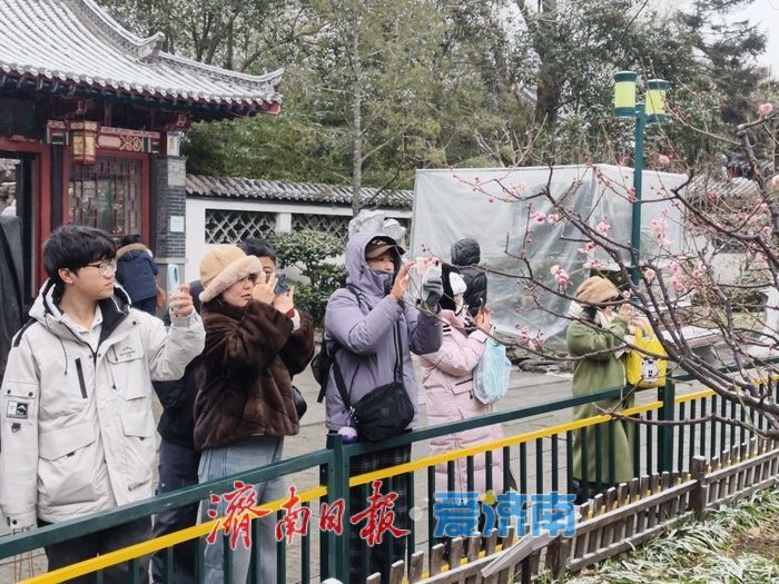 一年四季 泉在济南丨趵突泉畔,踏雪寻“梅”