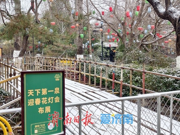 一年四季 泉在济南丨趵突泉畔花灯初绽，泉城年味渐浓