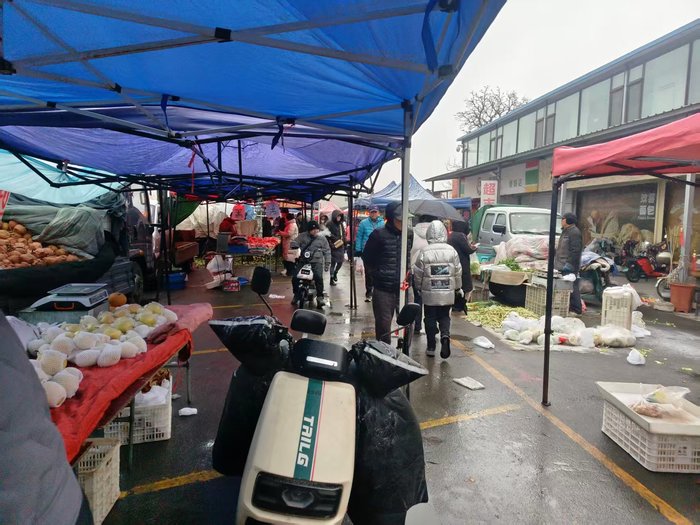 记者探访:雪落泉城菜市暖,蔬菜供应充足价格平稳